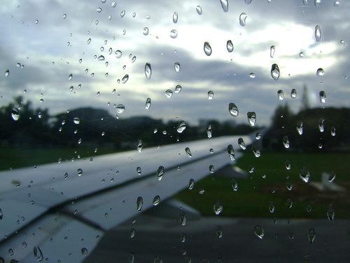 DSC03237_resize.JPG